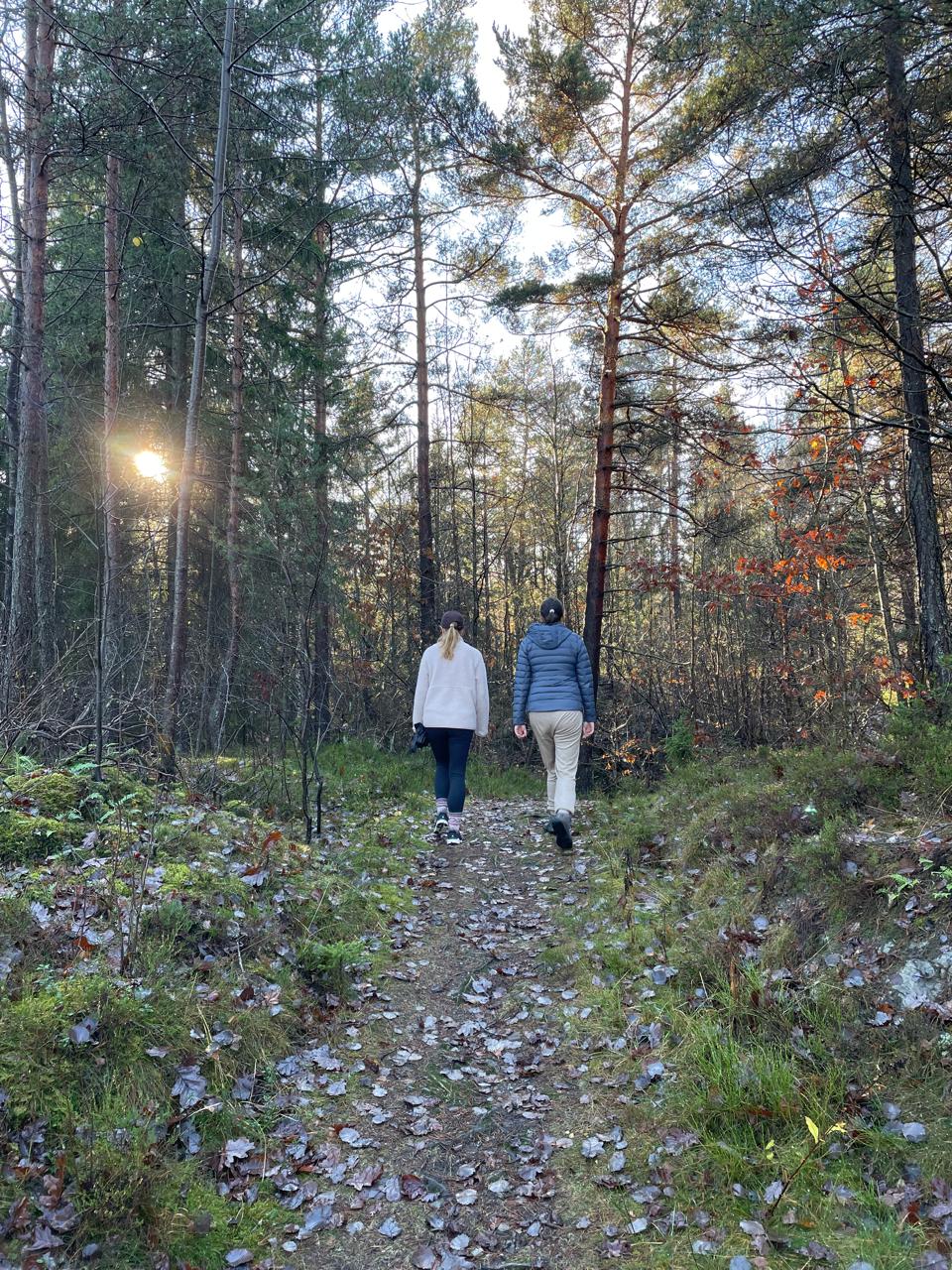 Two people walking a forest path together