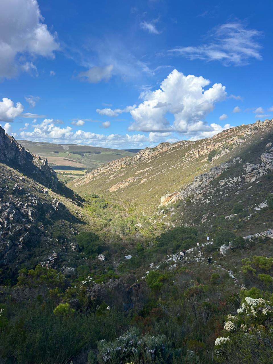 Utsikt over fjellandskapet på Phillipskop med fynbos og klipper under blå himmel