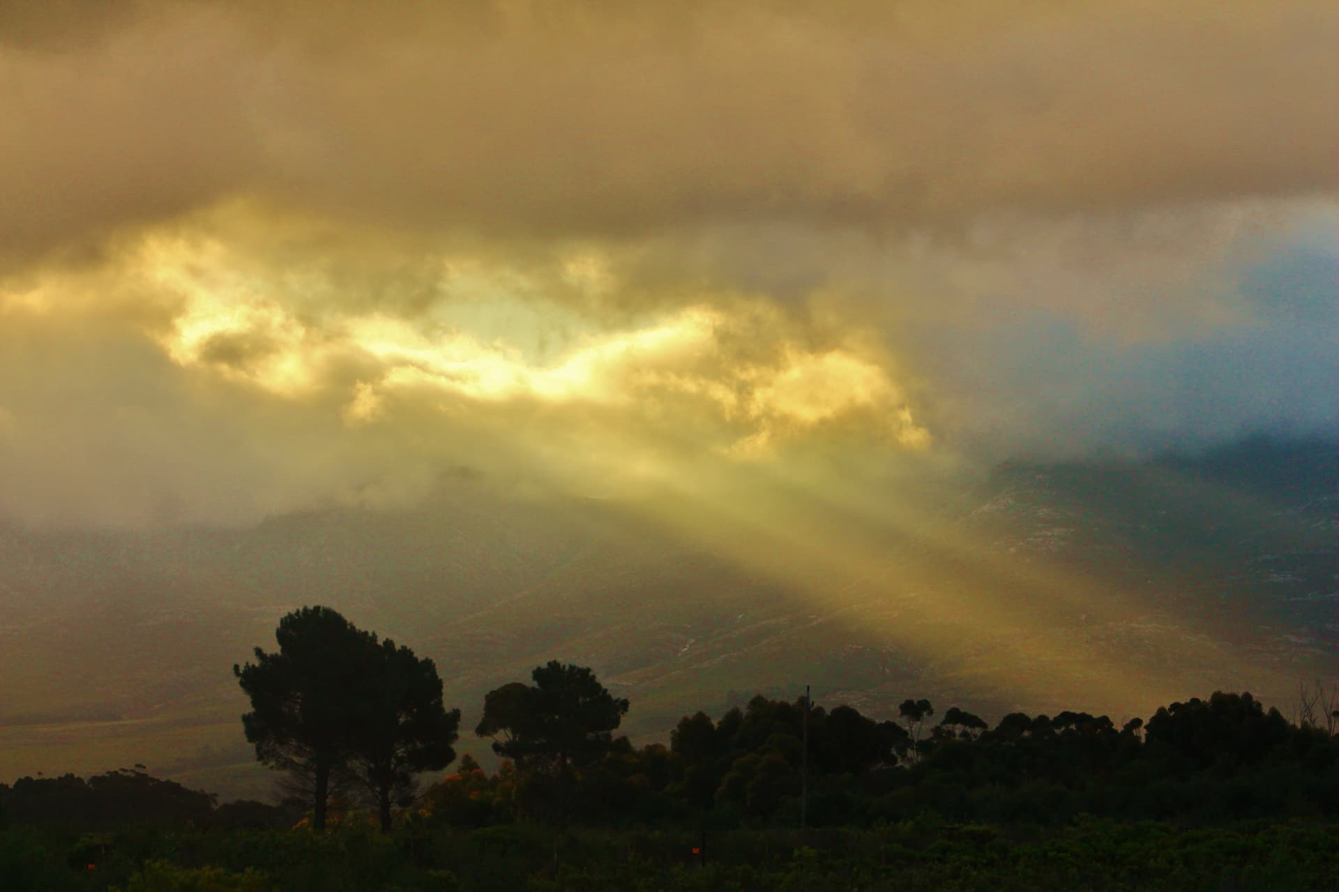 Sunlight shining through the trees