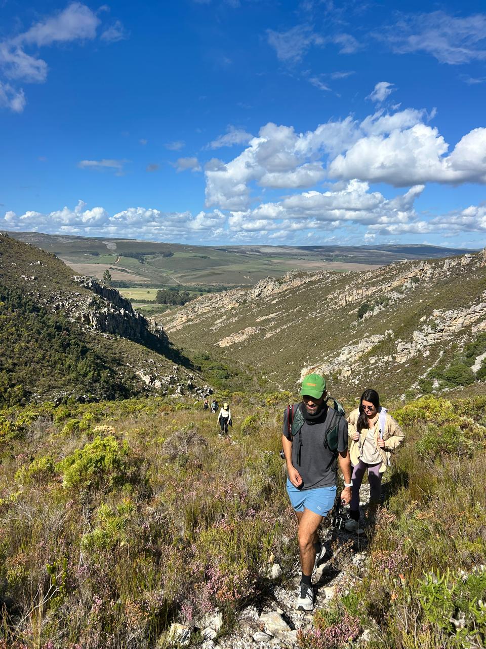 A group walking the fynbos path at Phillipskop