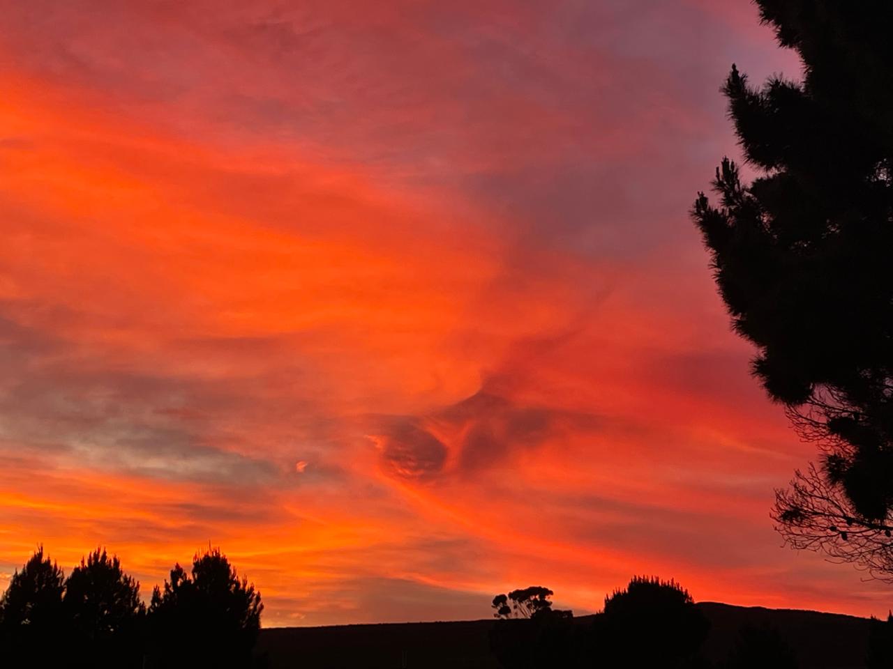 Soloppgang med brennende oransje himmel over trærne